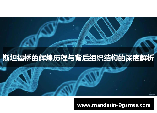 斯坦福桥的辉煌历程与背后组织结构的深度解析 斯坦福桥的辉煌历程与背后组织结构的深度解析